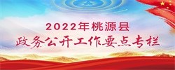 2022年桃源县政务公开工作要点专栏