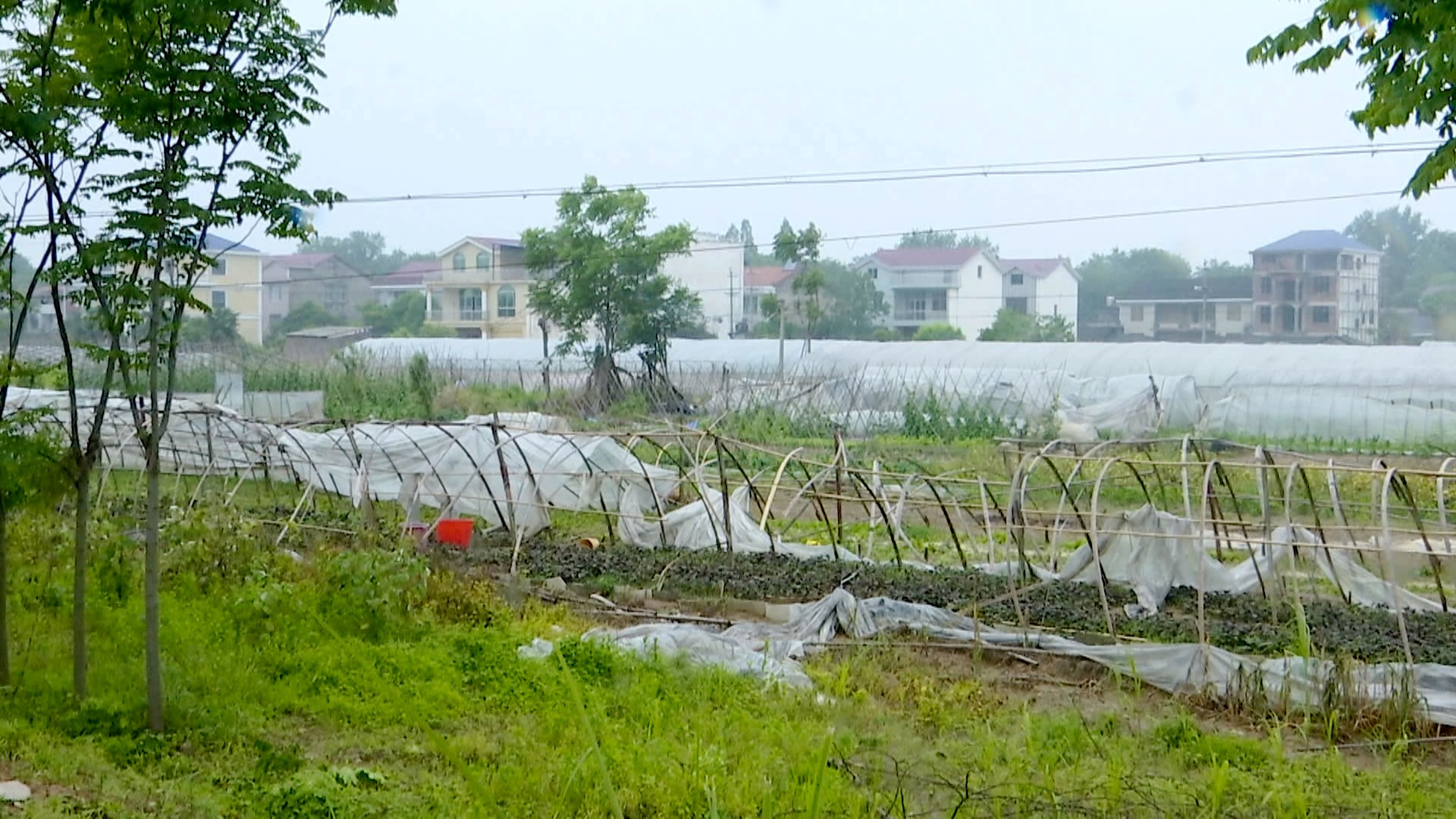 bf108b52b3ab1bc23d71b49f90d16d8f16becace1588668251144.jpg?pid=85166 bf108b52b3ab1bc23d71b49f90d16d8f16becace1588668251144.jpg?pid=85166