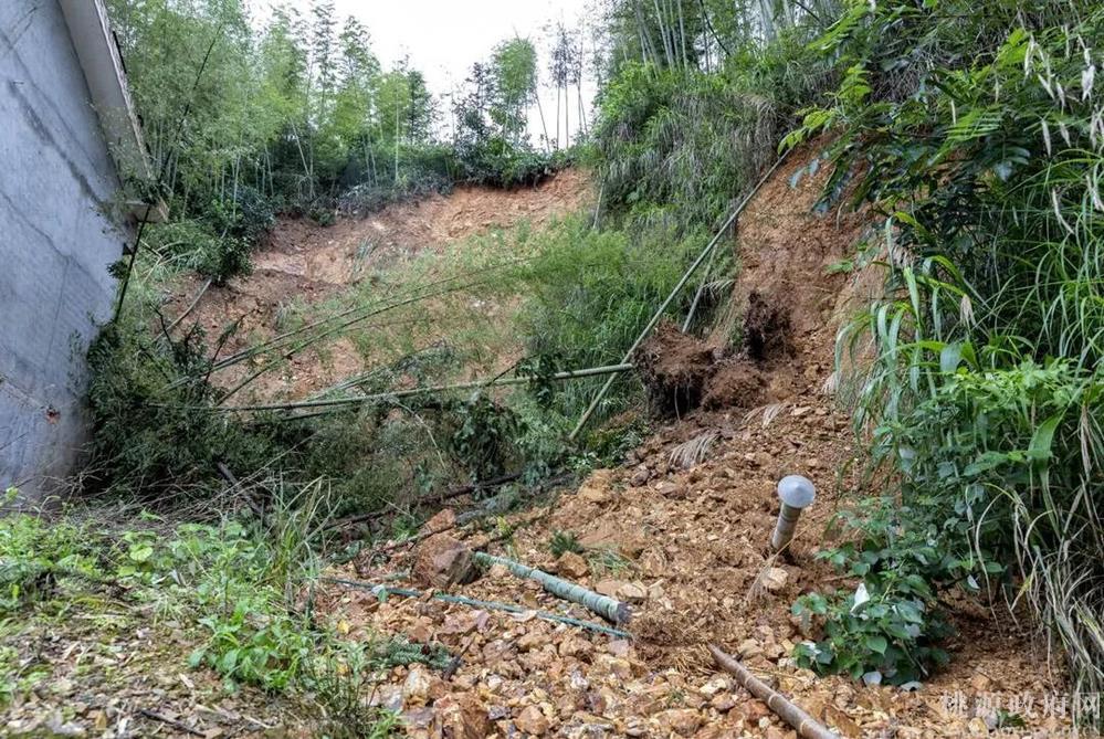 498abb79fe714b4caa8ff1d13323d13d.jpg 498abb79fe714b4caa8ff1d13323d13d.jpg