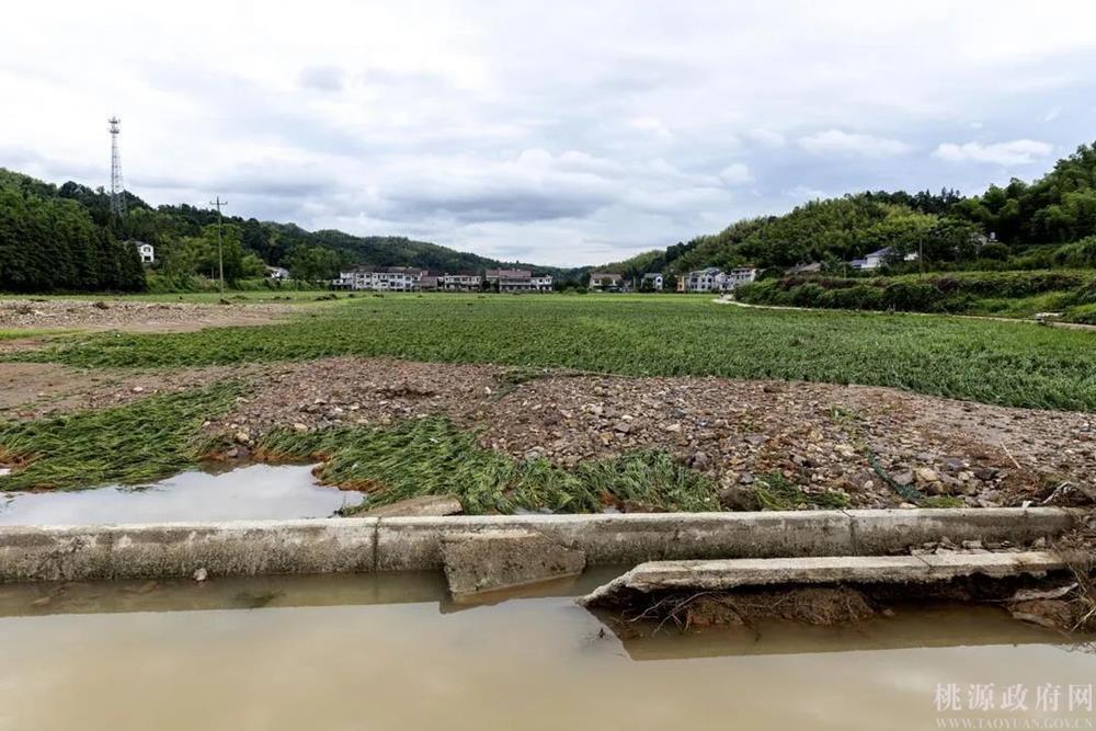 a24f5bf1266b4f65b87def95ef21c1b6.jpg a24f5bf1266b4f65b87def95ef21c1b6.jpg