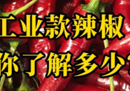 【科普一下】工业款辣椒，你了解多少？