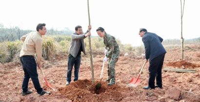 桃源县几大家班子成员参加义务植树活动