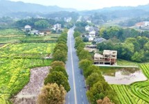 一路繁花伴坦途，桃源春色入画来