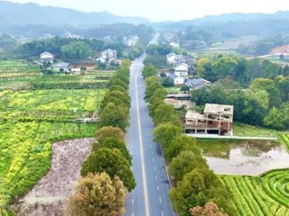 一路繁花伴坦途，桃源春色入画来