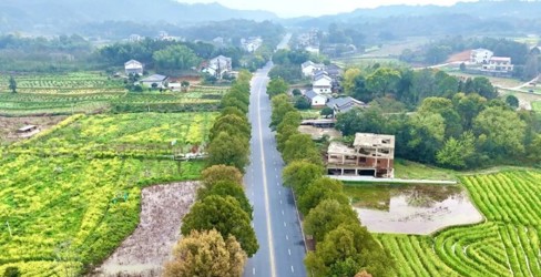 一路繁花伴坦途，桃源春色入画来