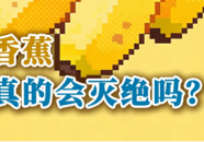 【科普一下】香蕉真的会灭绝吗？