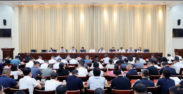 桃源县召开县域经济高质量发展暨招商引资工作讲评会