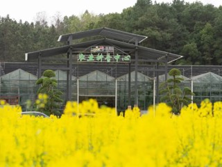 乡村振兴看架桥