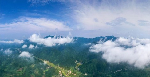 望阳山省级自然保护区